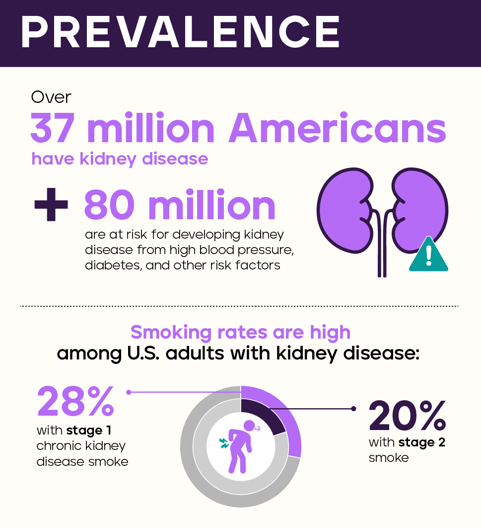 More than 37 million Americans have kidney disease, and another 80 million are at risk for developing kidney disease from high blood pressure, diabetes, and other risk factors. CDC data shows that smoking rates are high among people with kidney disease: 28% of U.S. adults with stage 1 chronic kidney disease and 20% with stage 2 smoke compared to 12% in the general population. 