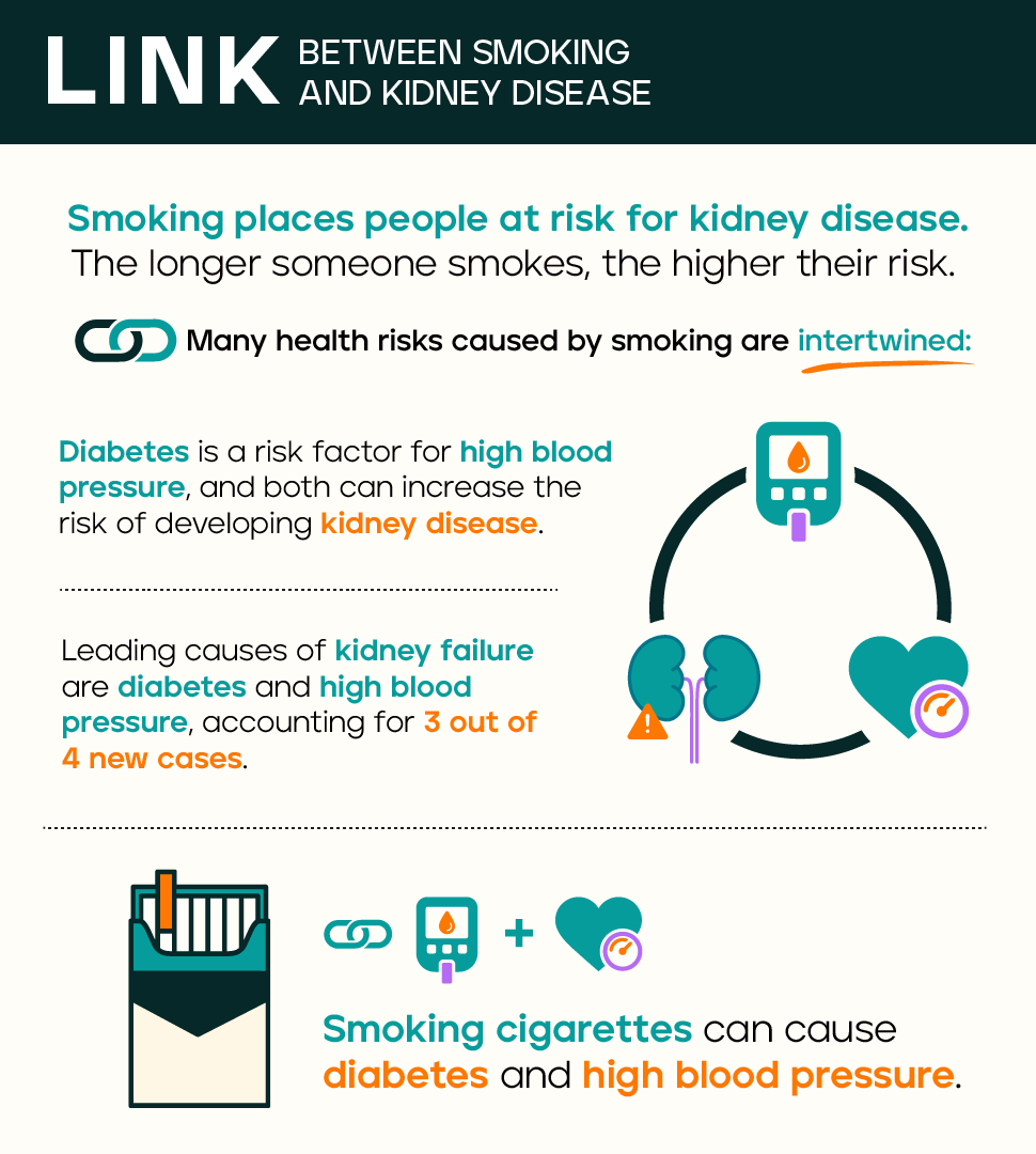 Smoking can lead to a decrease in renal function, placing people at risk for kidney disease.  And the longer someone smokes, the higher their risk for developing kidney disease. Many of the health risks caused by smoking are intertwined. For example, diabetes is a risk factor for high blood pressure, and both can increase the risk of developing kidney disease. In fact, the leading causes of kidney failure are diabetes and high blood pressure, accounting for 3 out of 4 new cases. Smoking cigarettes can cause diabetes and high blood pressure.