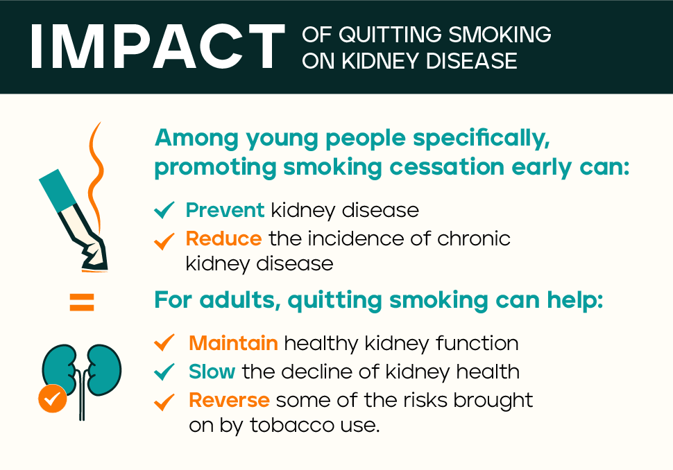 Among young people specifically, promoting smoking cessation early can prevent kidney disease and reduce the incidence of chronic kidney disease. For adults, quitting smoking can help maintain healthy kidney function, slow the decline of kidney health, and even reverse some of the risks brought on by tobacco use.